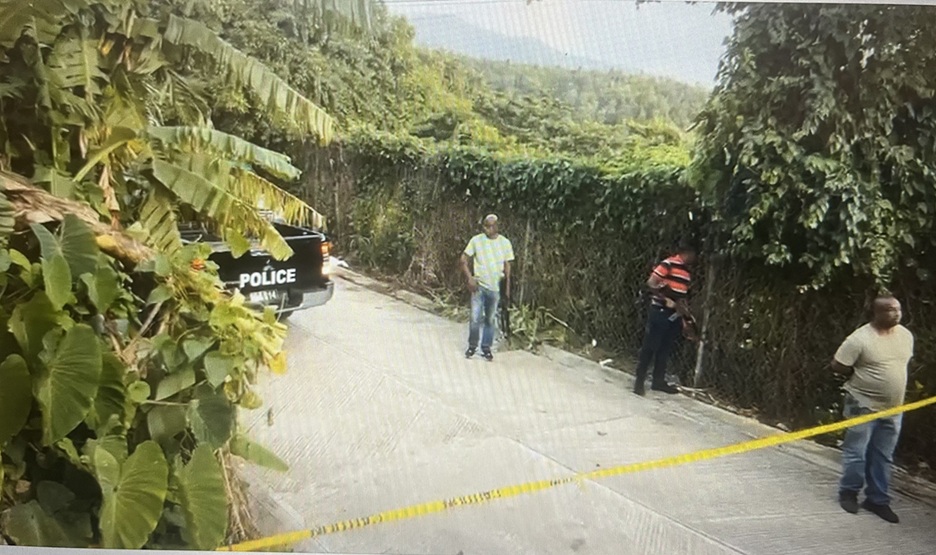 Police investigates crime