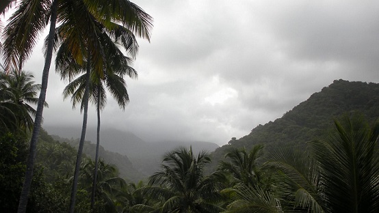 dominica rainfall